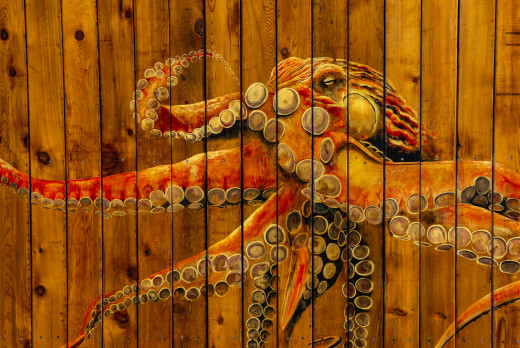 �1760560 �������(a): ����������:1920x1282